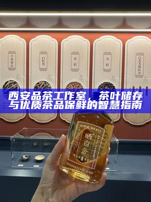 西安品茶工作室，茶叶储存与优质茶品保鲜的智慧指南