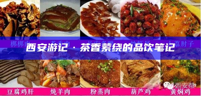 西安游记·茶香萦绕的品饮笔记