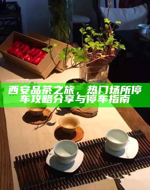 西安品茶之旅，热门场所停车攻略分享与停车指南